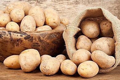 世界上最强大的量子计算机也无法运行《毁灭战士》